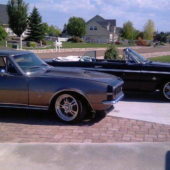 Meet your Posher, David - Picture 1 of 1